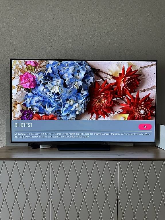 LG Fernseher: LG OLED65B6V OLED Smart TV 65 Zoll – Gebraucht aus Aarburg von Trailsurfer 3