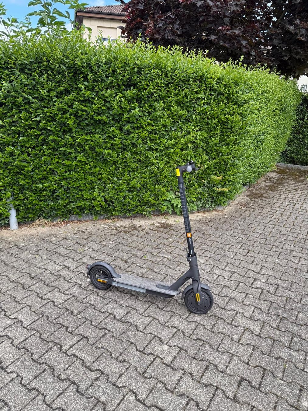 Scooter: Xiaomi Essential Elektro Scooter – Usato da Stein AG venduto da issun83