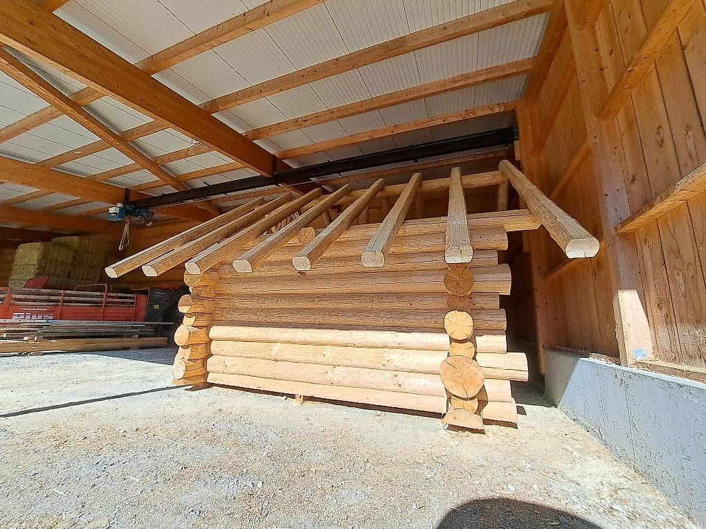 Articoli in legno: Blockhaus Rundstammhaus – Usato da Reinach AG venduto da sic02 1