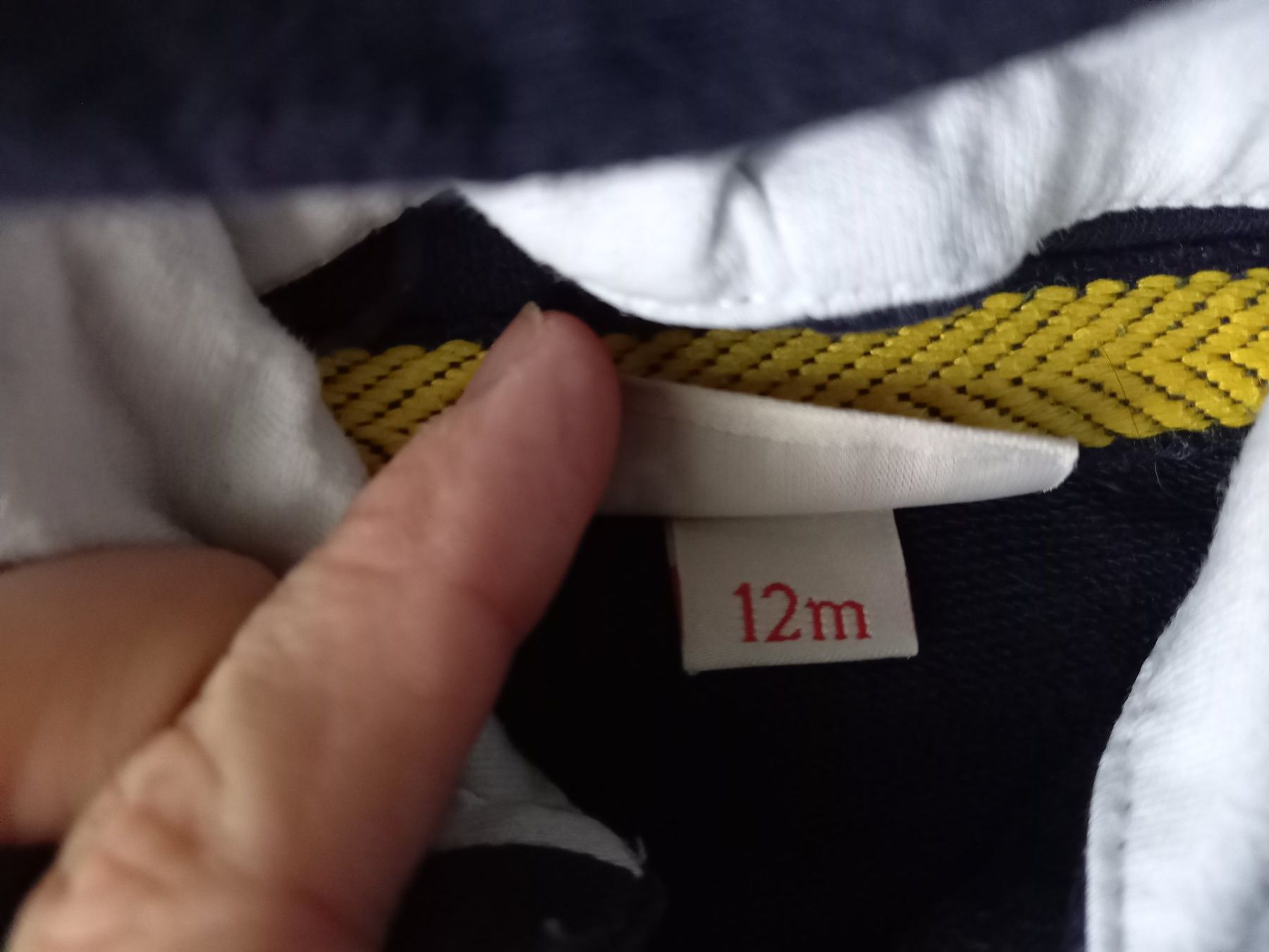 Maglioni & Felpe: Sweatjacke / Jäckchen Gr. 12Mt. / ca. 80 – Usato da Unterengstringen venduto da saraman 1