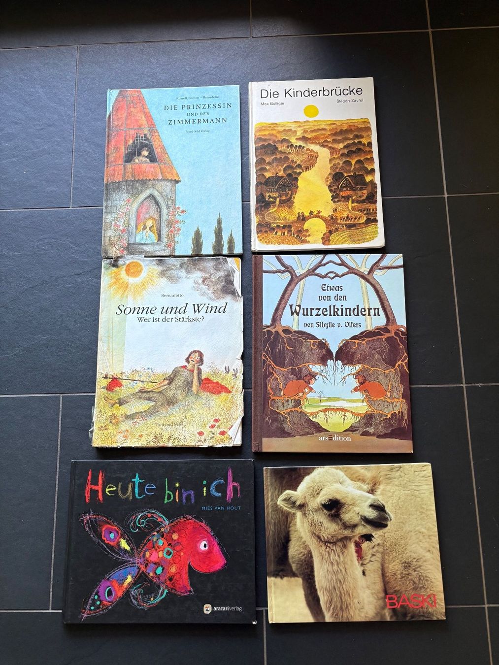 Libri: Bilderbuchpaket  11 Bilderbücher – Usato da Wetzikon ZH venduto da Youna01