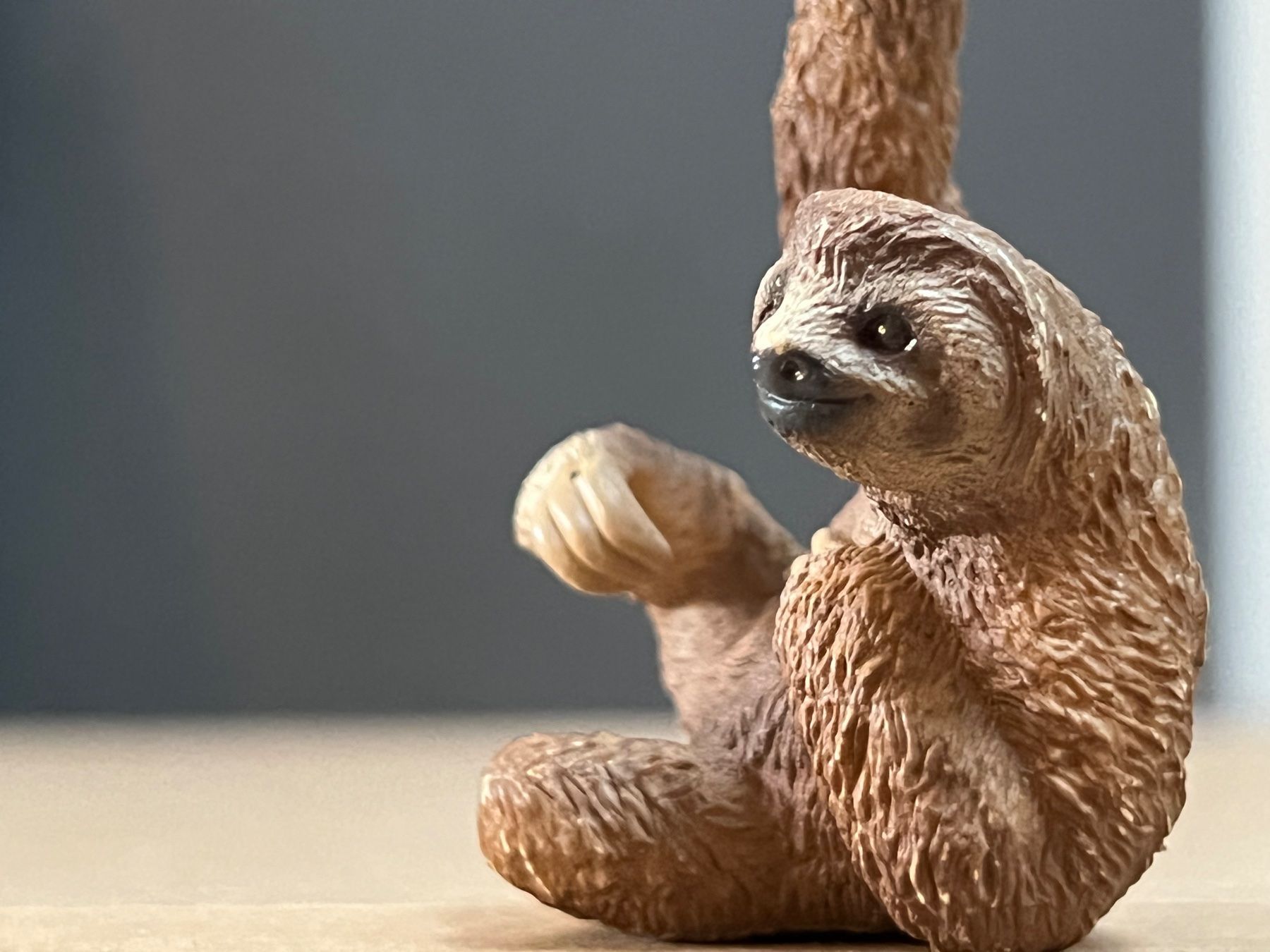 Schleich Statuette: Schleich 14793 Faultier – Usato da Ennetbaden venduto da mapa05 3