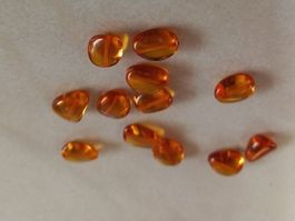12 Stk. Bernsteine