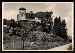 AK Wildenstein, Schloss