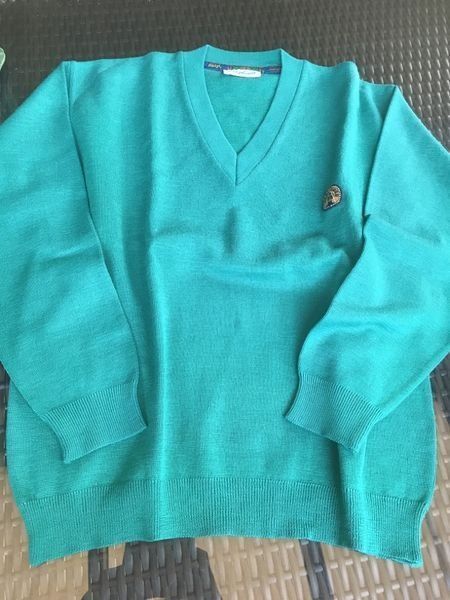 Pulls & Sweat-shirts: Damen Pullover V-Schnitt grün 54 – D'occasion à Bergdietikon par antovale