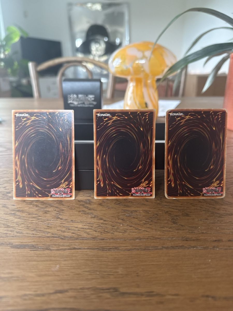 Yugioh Carte collezionabili: Yu-Gi-Oh! Magnetkrieger Bundle: Alpha, Beta & Gamma – Usato da Zürich venduto da Alexander2305 4