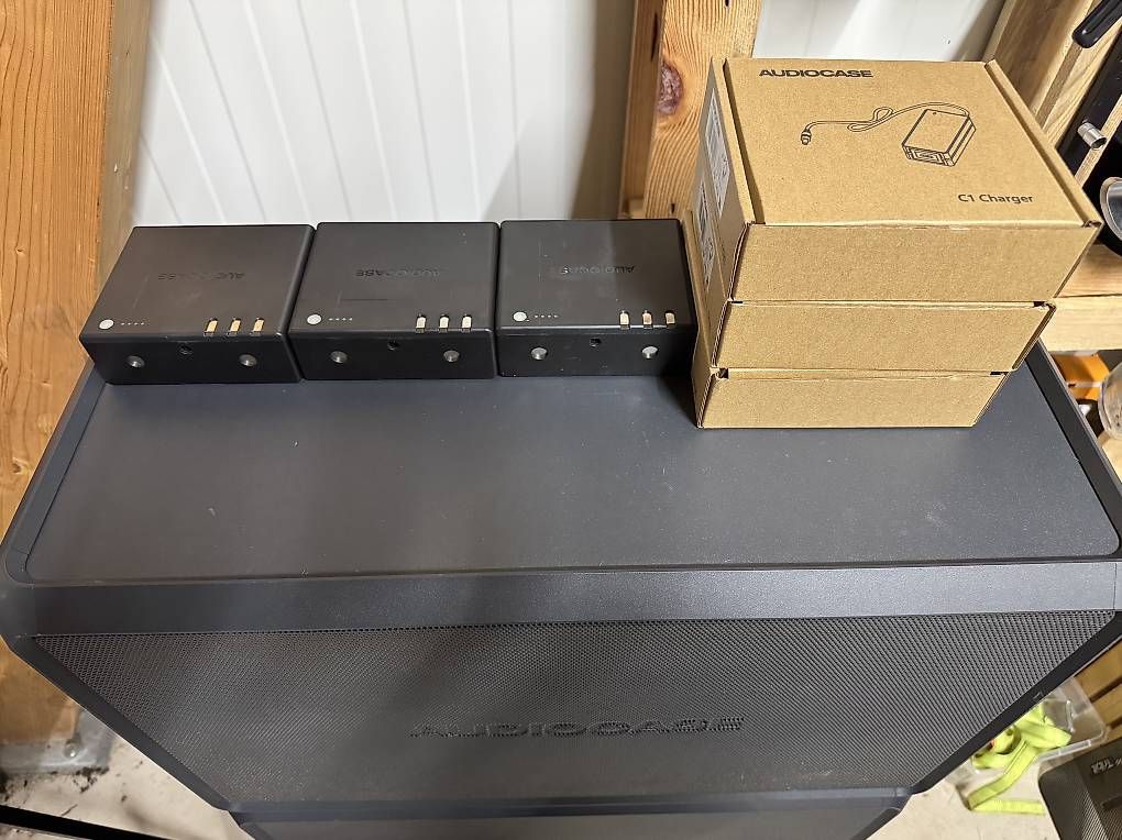Casse acustiche: Audiocase s10 3x – Usato da Rafz venduto da F1Performance 3