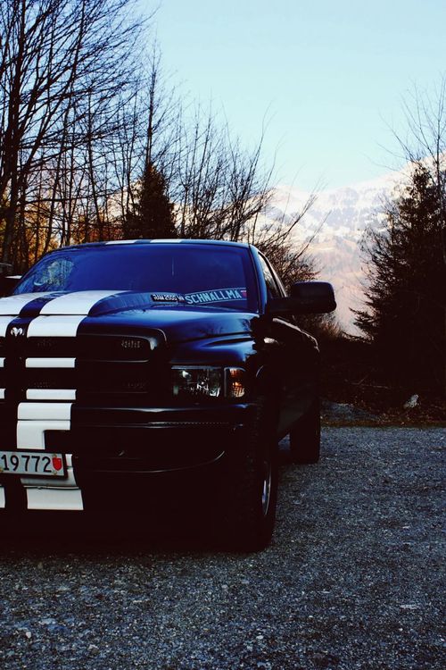 Dodge Automobili: Dodge Ram – Usato da Näfels venduto da jan_7cxd 6