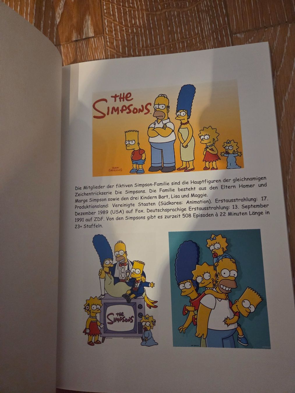 Libri: Die Simpsons, alle Figuren erklärt – Nuovo (secondo la descrizione) da Baar venduto da Liebherrbagger 1