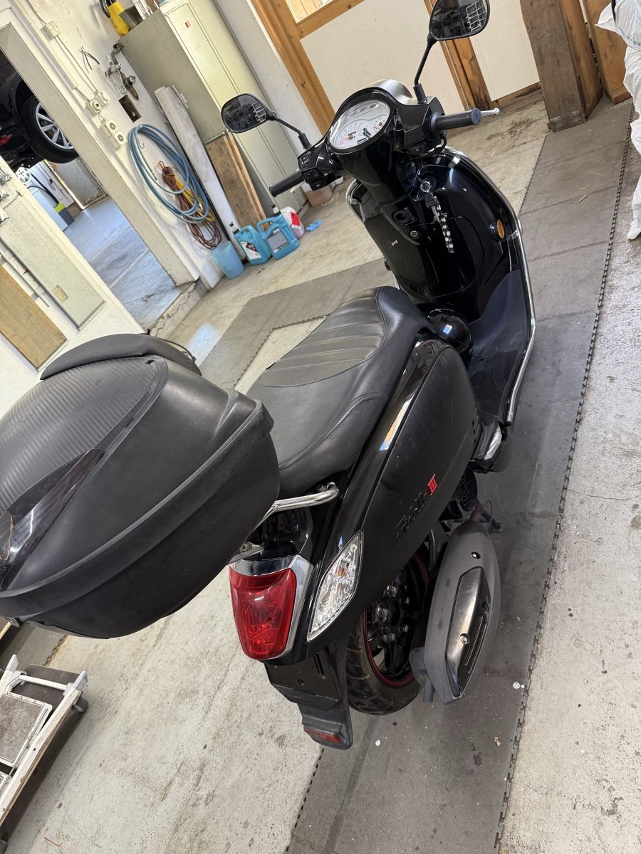 Sym Scooter: SYM FIDDLE 3    125 – Usato da Buchs SG venduto da Liana2016 3
