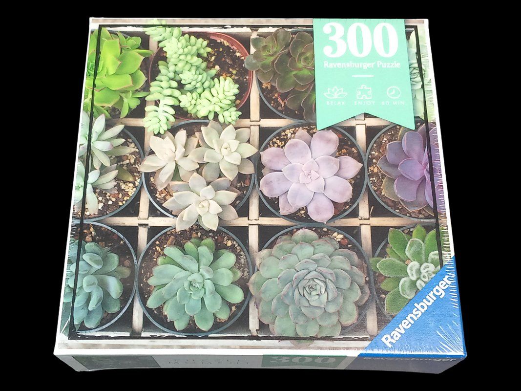 Ravensburger Puzzle: RAVENSBURGER Puzzle – Usato da Hünenberg venduto da Restwert_Zug