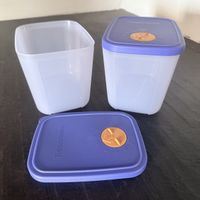 Tupperware Gefrierbehälter 