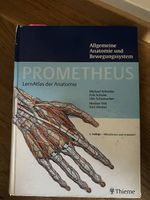 Prometheus LernAtlas der Anatomie