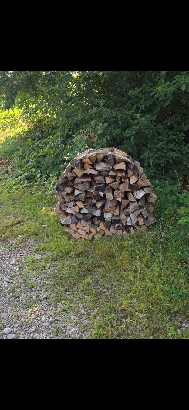 Articoli in legno: Brennholz Steerbund – Usato da Schüpfheim venduto da mar_5pm2