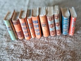 10  neue Bücher fürs Puppenhaus-Puppenstube, neu