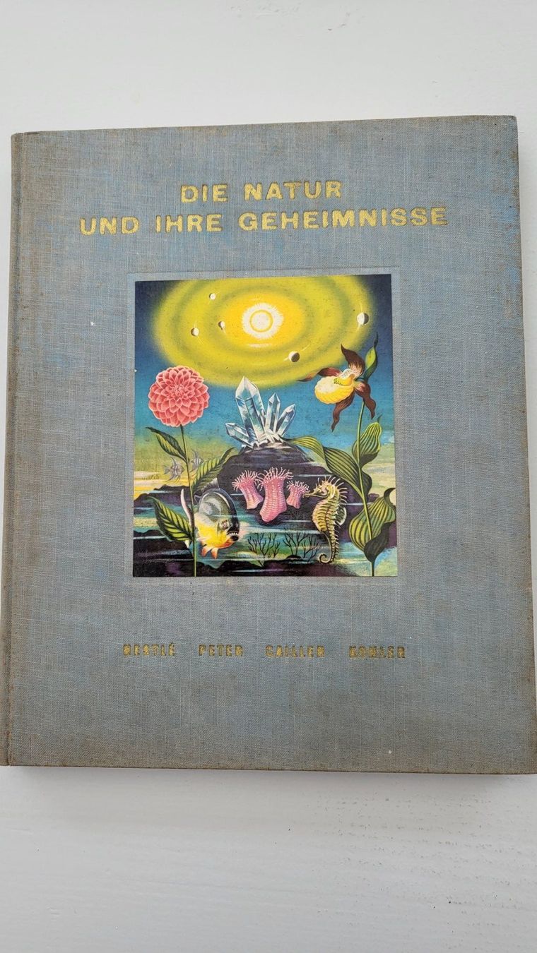Bücher: Buch – Gebraucht aus Magden von Pierre26