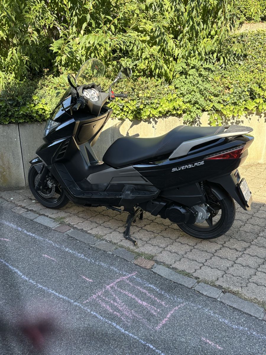 Tell Scooters: Tell Silverblade 250 – Gebraucht aus Mettmenstetten von SimonLehmann89