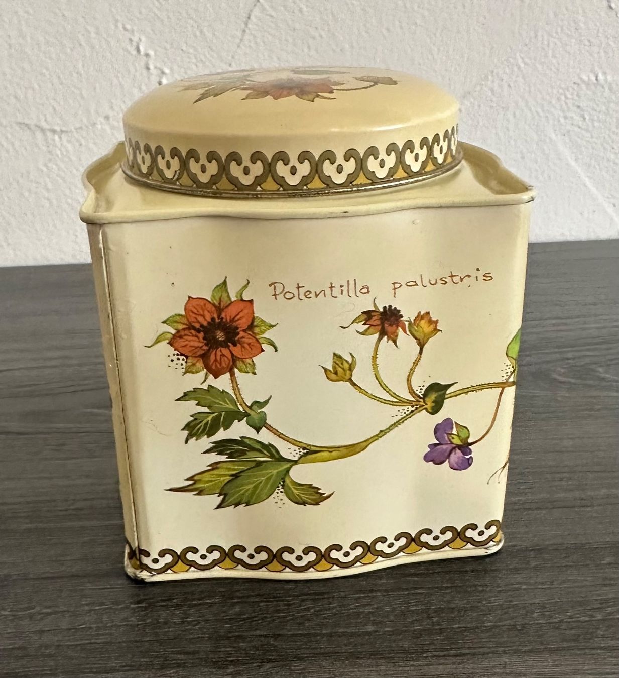 Contenitori & Simili: Vintage botanical Blechdose von Baret Ware England – Usato da Zürich venduto da brazerola 2