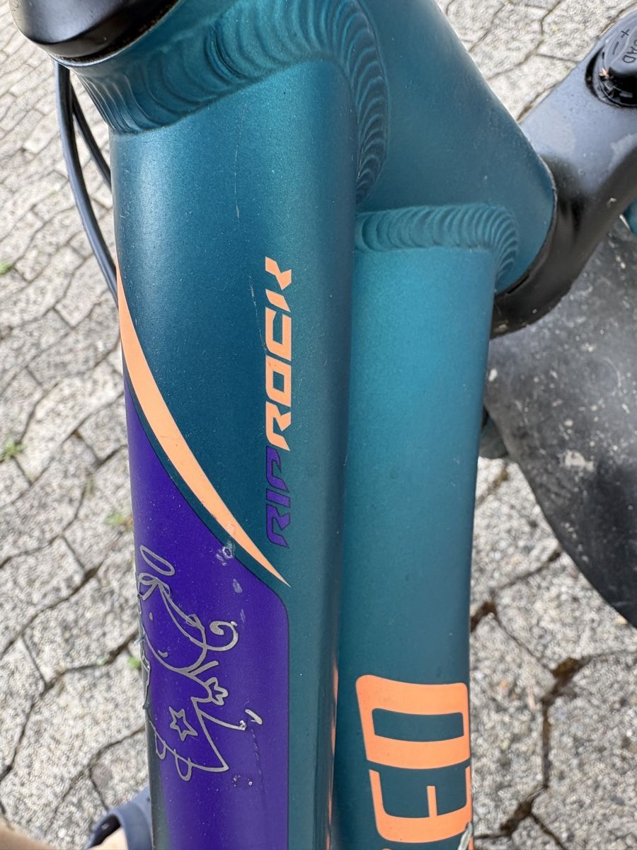 Specialized Biciclette: Specialized Riprock 20 kinder mtb 20” – Usato da Küsnacht ZH venduto da StuartJohnston 7