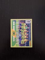 panini 2026 bra 13
