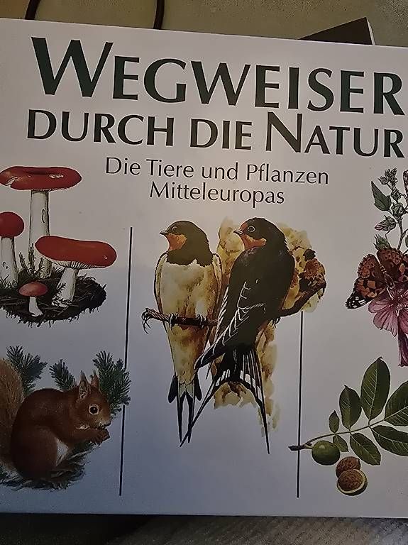 Libri: Wegweiser durch die Natur – Usato da herisau venduto da bot_l5ms