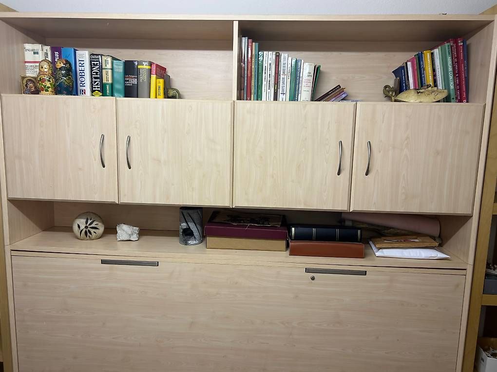Scaffali: REGALO  Letto a scomparsa con mobile e libreria – Usato da Pregassona venduto da agn_jjz9 2