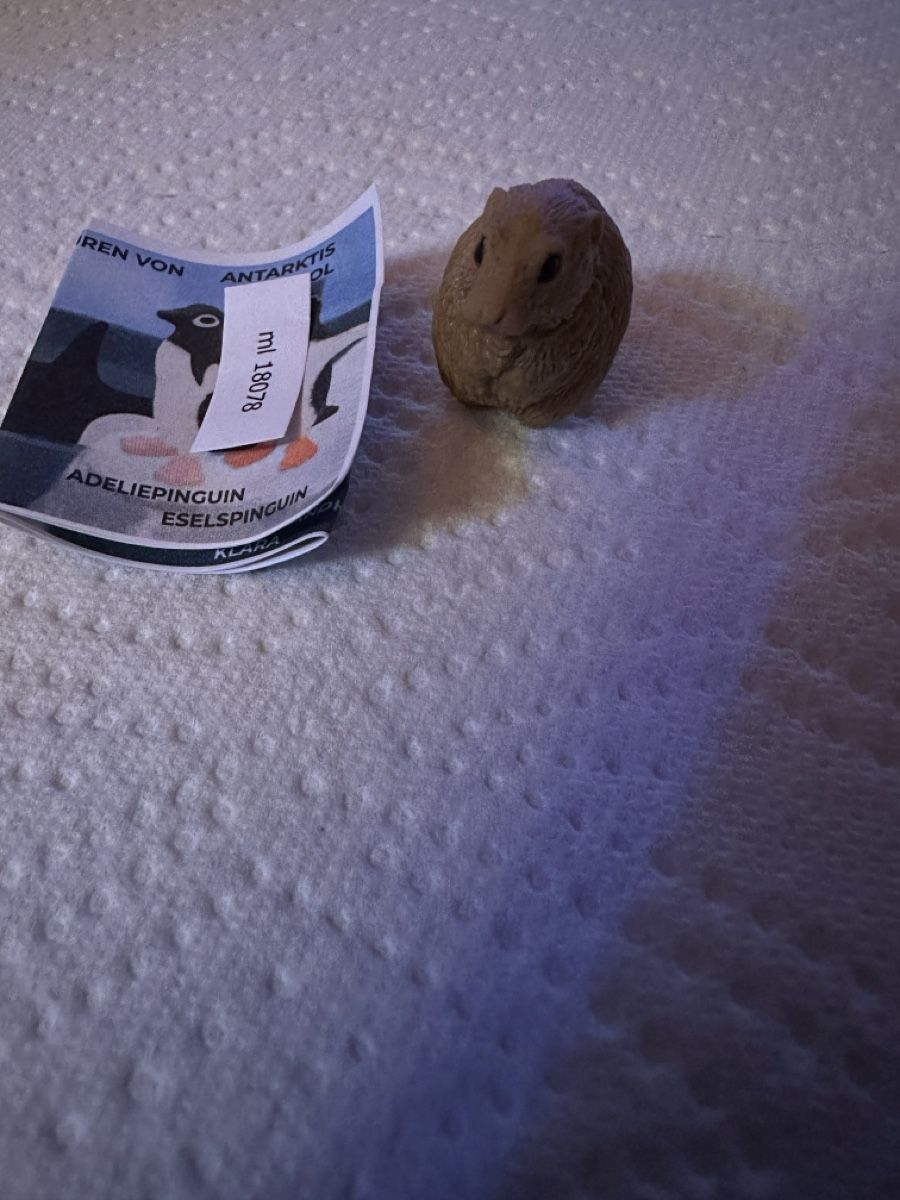 Schleich Statuette: Schleich Lemming - neu – Nuovo e nell'imballaggio originale da Wangen b. Olten venduto da MOMO80 1