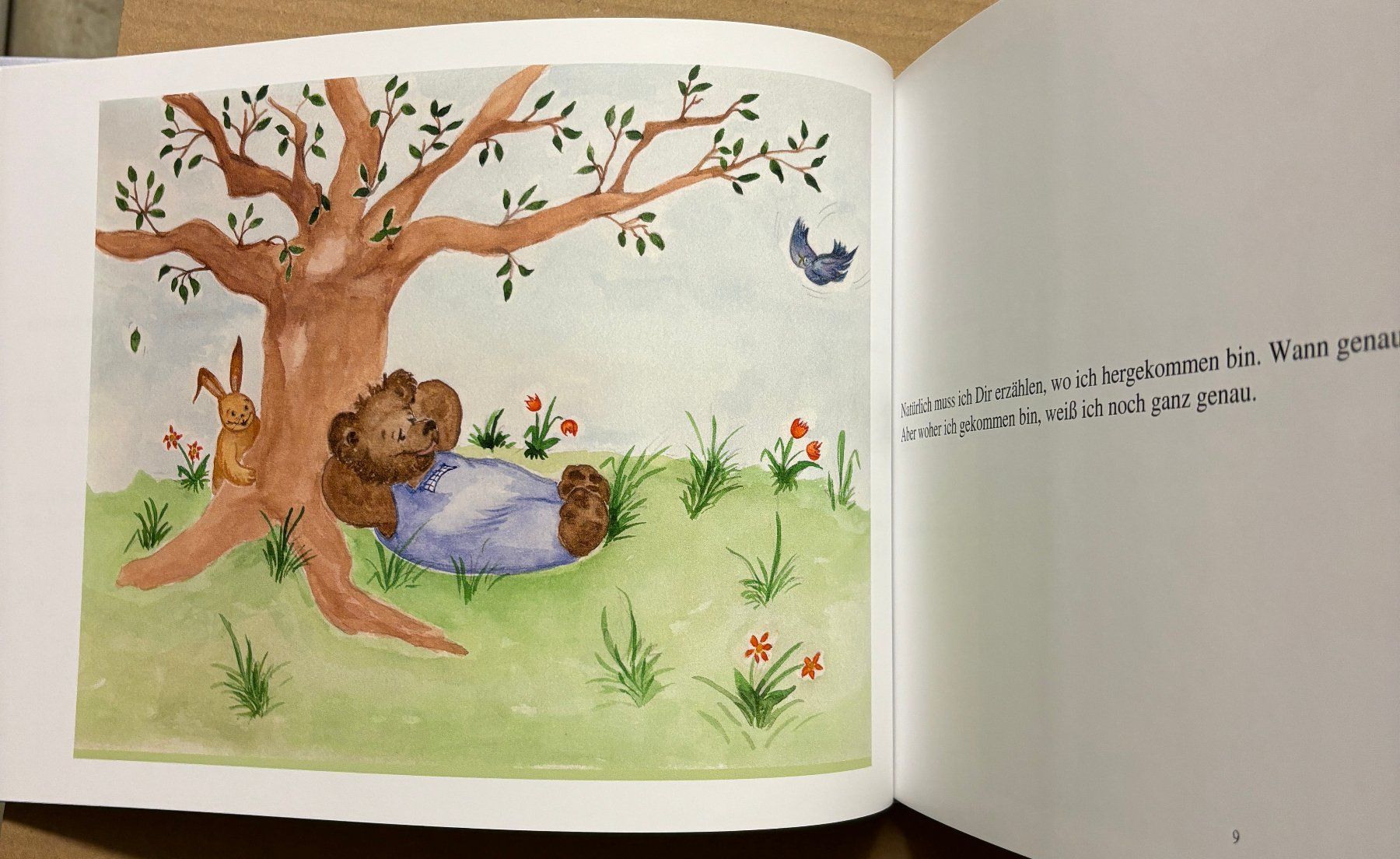 Libri: Goldschmidt Bernd, Der kleine braune Bär – Nuovo (secondo la descrizione) da Sarnen venduto da Livres 2