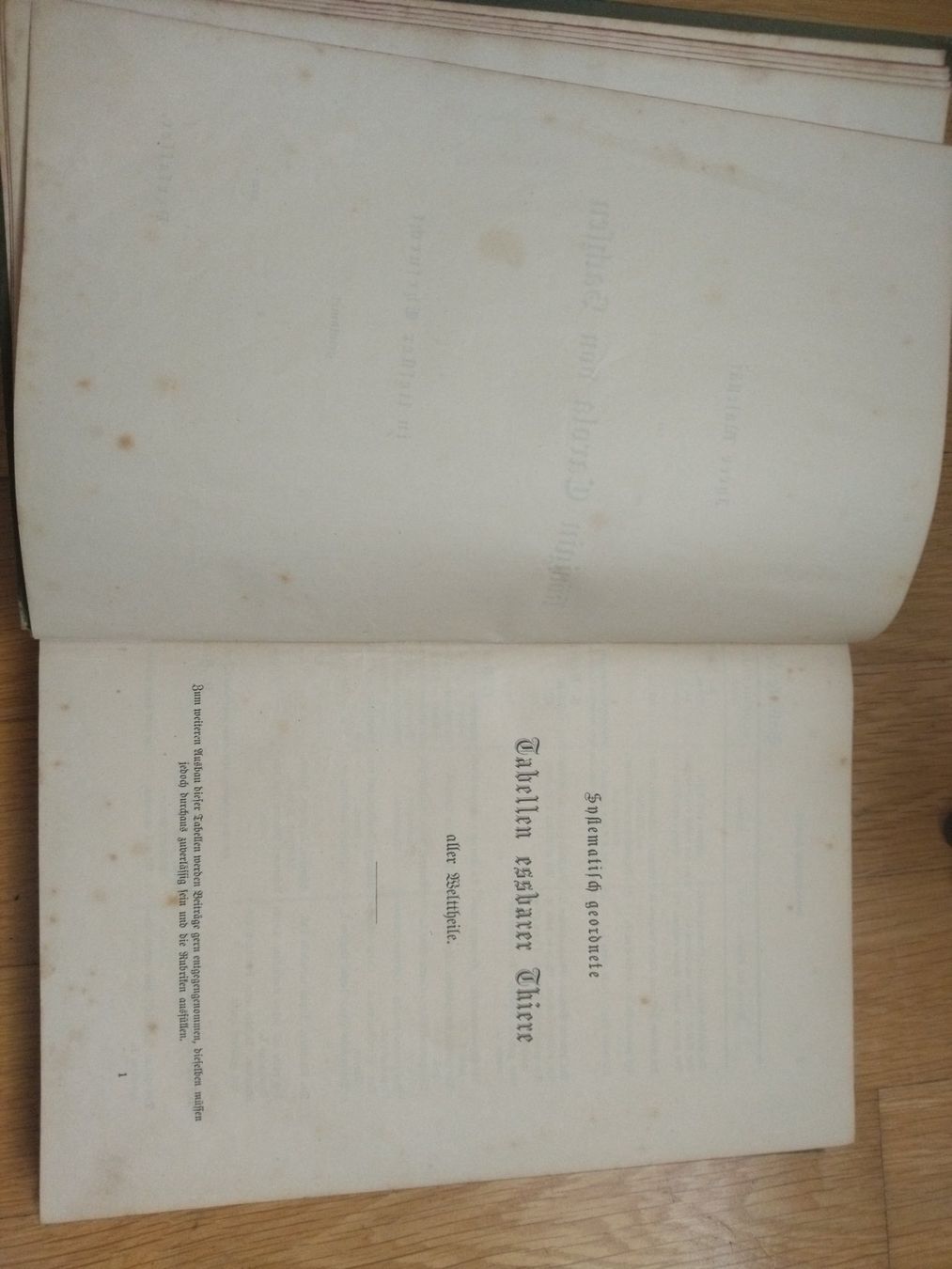 Libri: Kochbuch antik 1886 – Usato da Felben-Wellhausen venduto da bananajoe8474 3
