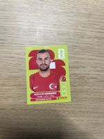 Panini FIFA WC TUR 5