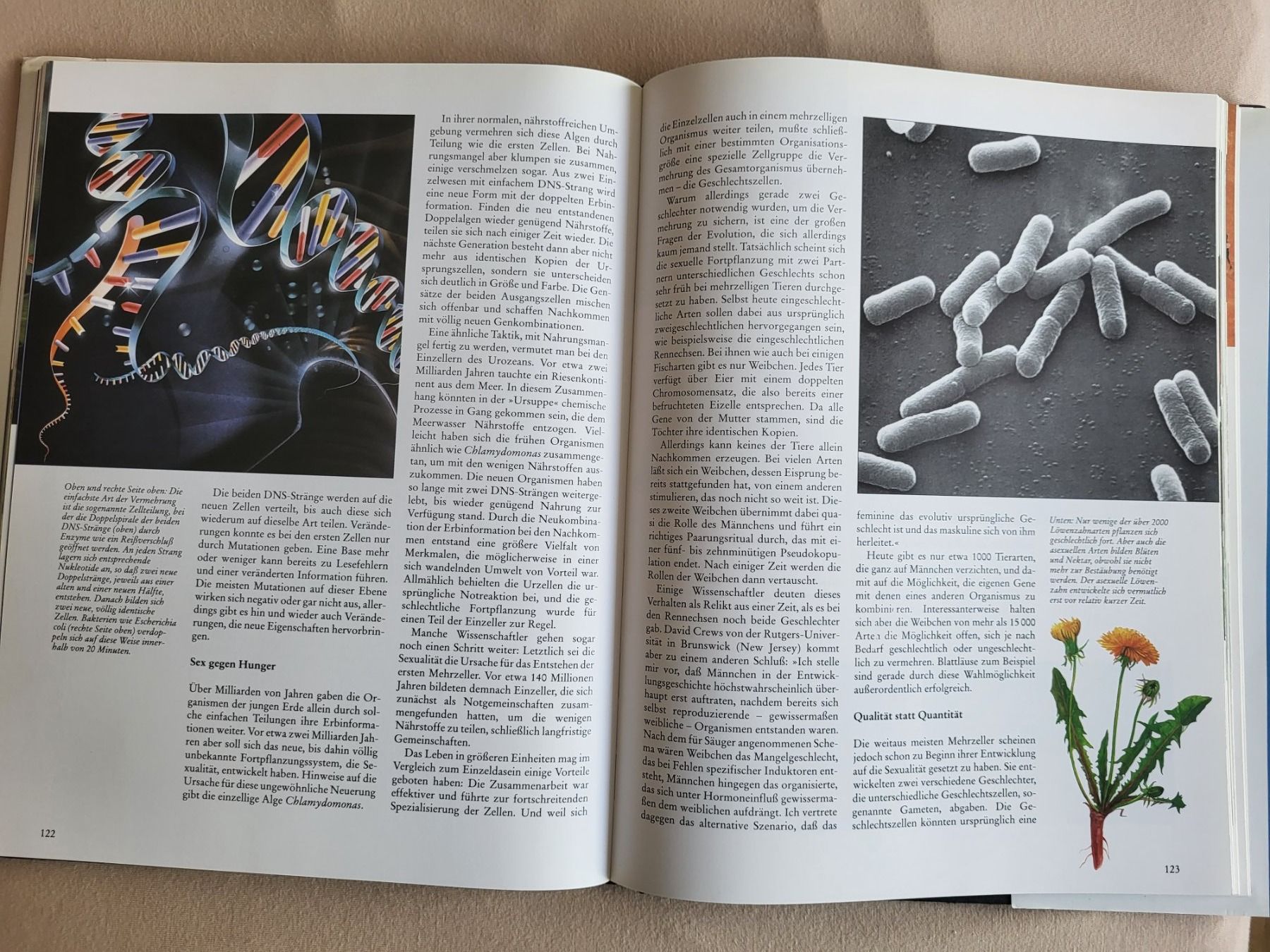 Libri: Buch "Planet des Lebens" Meilensteine der Evolution – Usato da Horw venduto da Zedy01 2