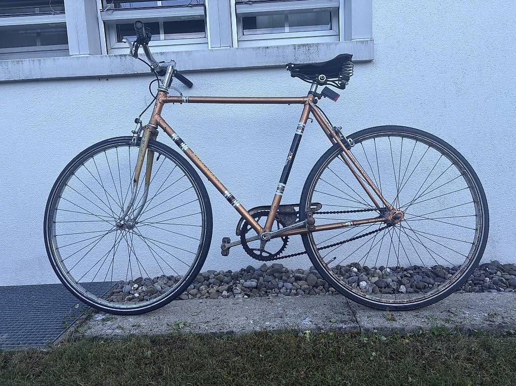 Biciclette: Singlespeed Velo Stadtvelo Rennvelo – Usato da Rüschlikon venduto da kat_td6h 1