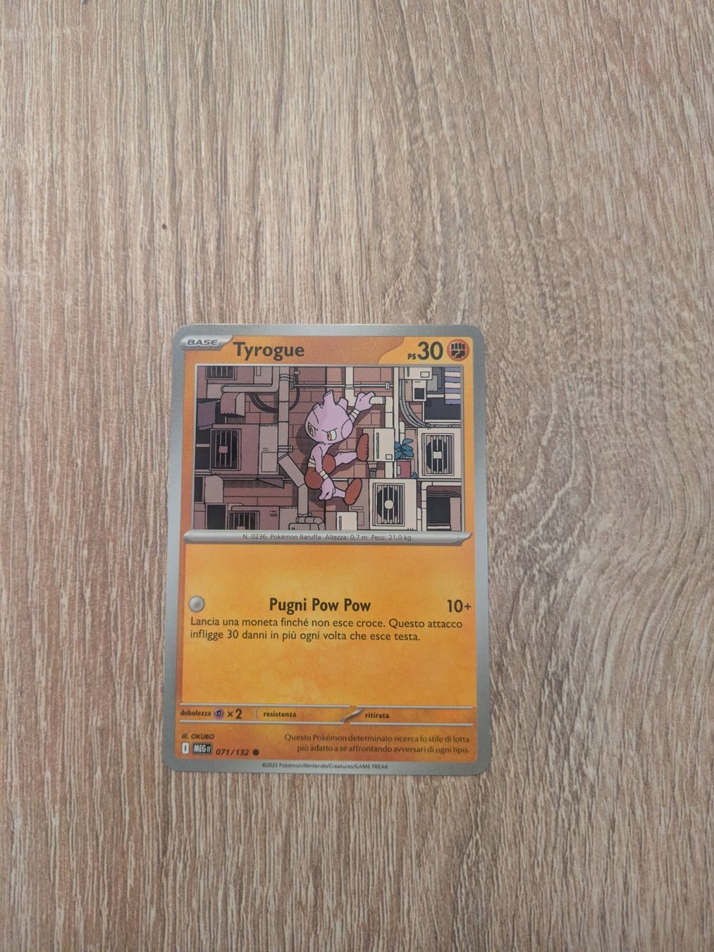 Pokémon Carte collezionabili: TYROGUE, MEGA EVOLUTION, MEG71, COMMON, 2025, ITA, NM/MT – Usato da Losone venduto da AlpineLayer
