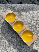 Citronella, Campinglights - Insektenkerzen | 3 Stk.