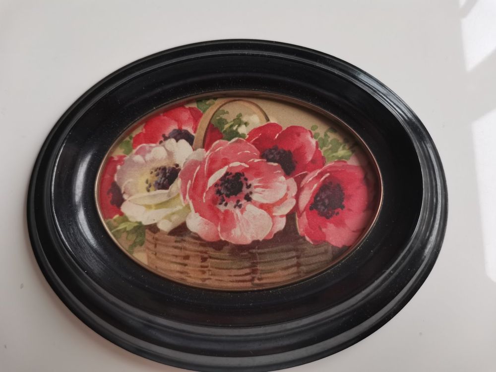 mimosen-in-alten-rahmen-antike-vintage-ansichtskarte-kaufen-auf-ricardo