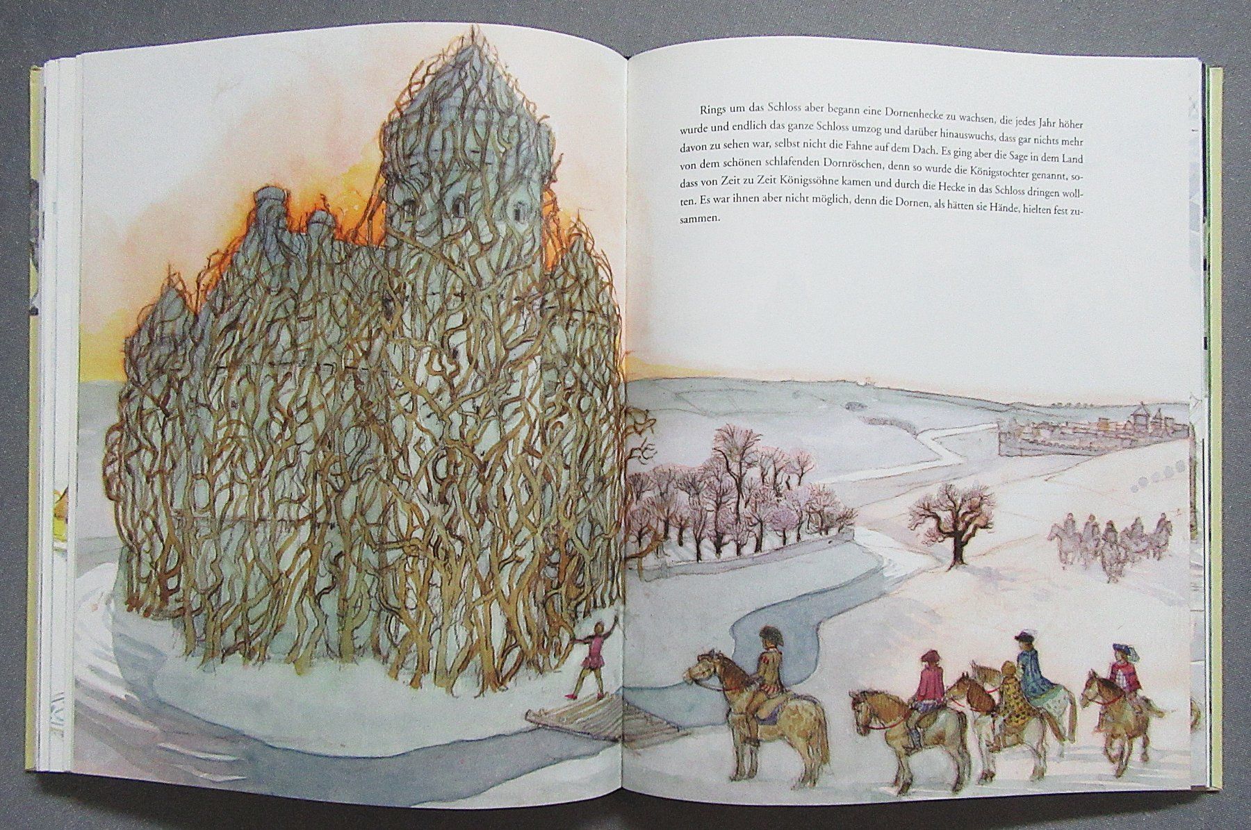 Bücher: Die schönsten Märchen der Gebrüder Grimm – Gebraucht aus Auenstein von Padabimbim 5
