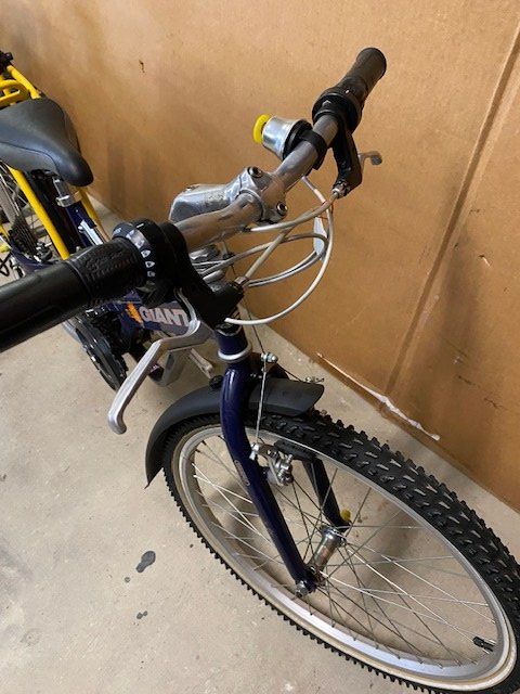 Giant Biciclette: Kinder/Jugendfahrrad Giant Flexx – Usato da Rheineck venduto da kat_2xjm 1