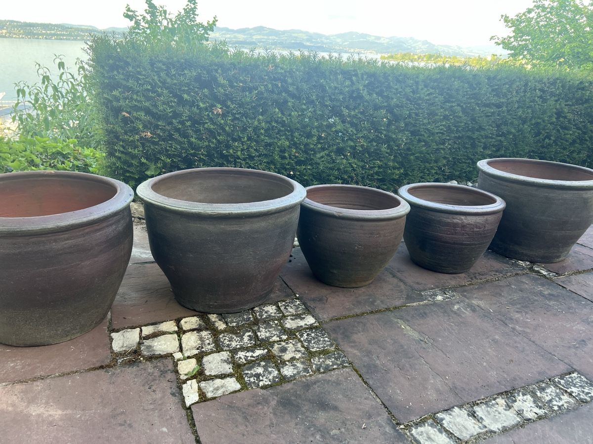 Vasi per fiori: Blumentöpfe  – Nuovo (secondo la descrizione) da Bäch SZ venduto da Schnu 5