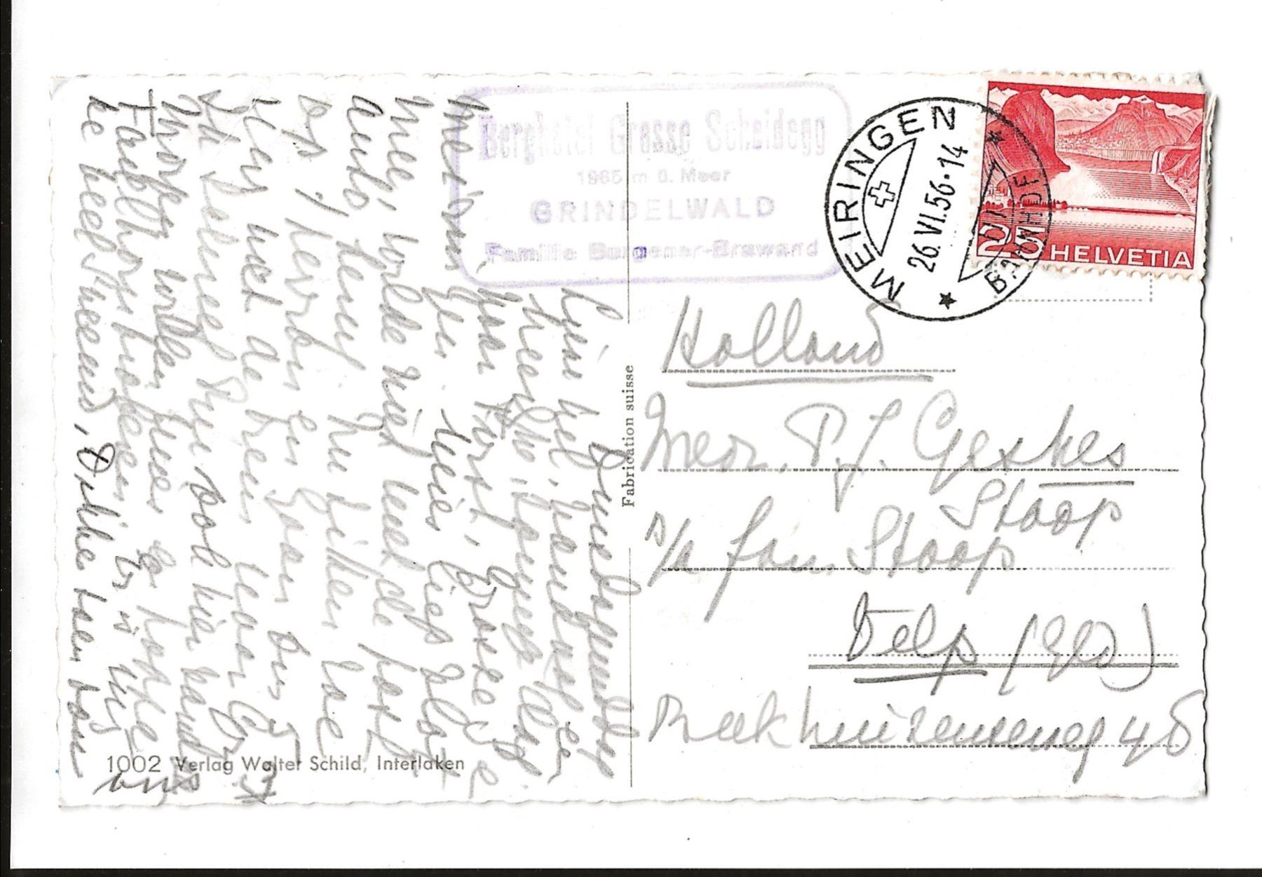 Cartoline postali: AK 1956 Grosse Scheidegg , Eiger – Usato da Greifensee venduto da 315WDO 1