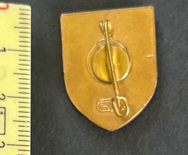 Placchette & Badge: Liechtenstein Wappen / Anstecker Vintage – Usato da Ostermundigen venduto da DaxKarten-75 1