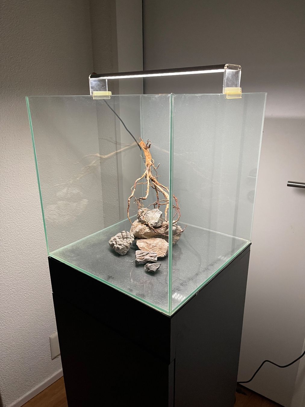 Acquari: Aquarium Cube 60 lt – Usato da Hinwil venduto da ron_t8wh