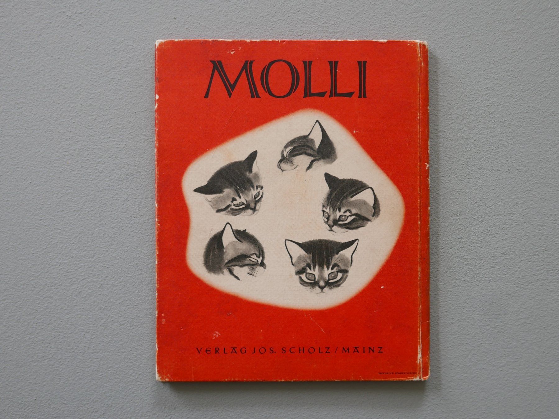 Libri: ANTIKES KINDERBUCH MOLLI KATZENGESCHICHTE – Usato da Balgach venduto da Zwischenraum 9