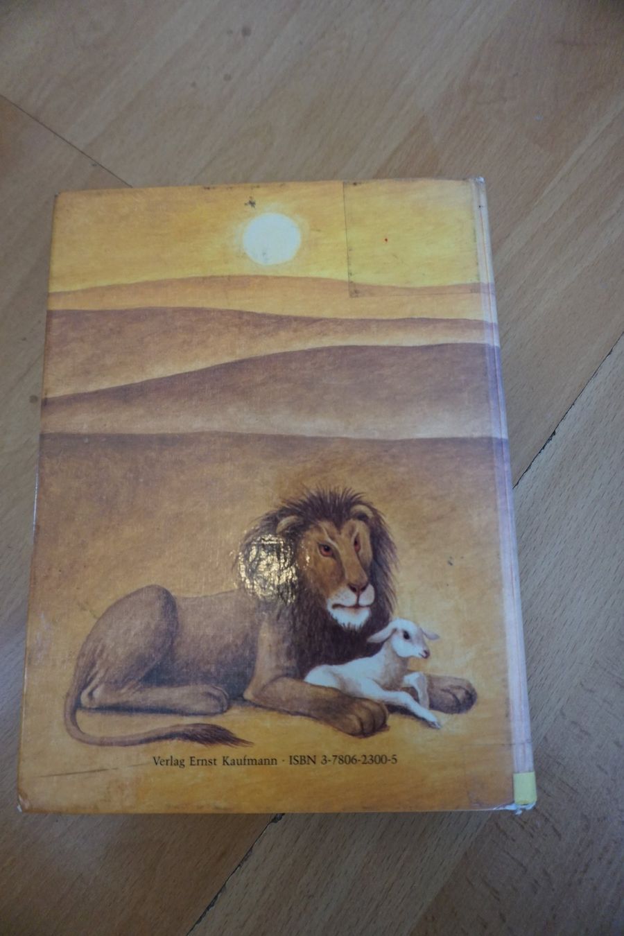 Libri: Kinderbibel – Usato da Zürich venduto da einalemjena 3