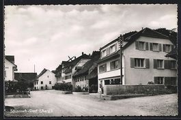 Schinznach-Dorf, Strassenpartie mit Gast