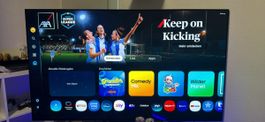 Samsung TV 55 Zoll 2026