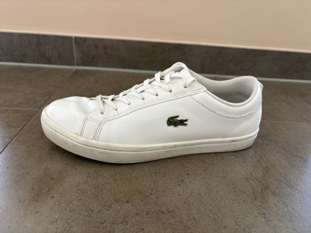 Basket Lacoste 