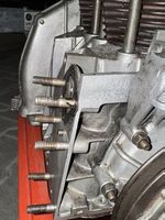 Fiat 500 Oldtimer Motor 110D
