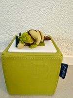 Toniefigur - Shrek der tollkühne Held