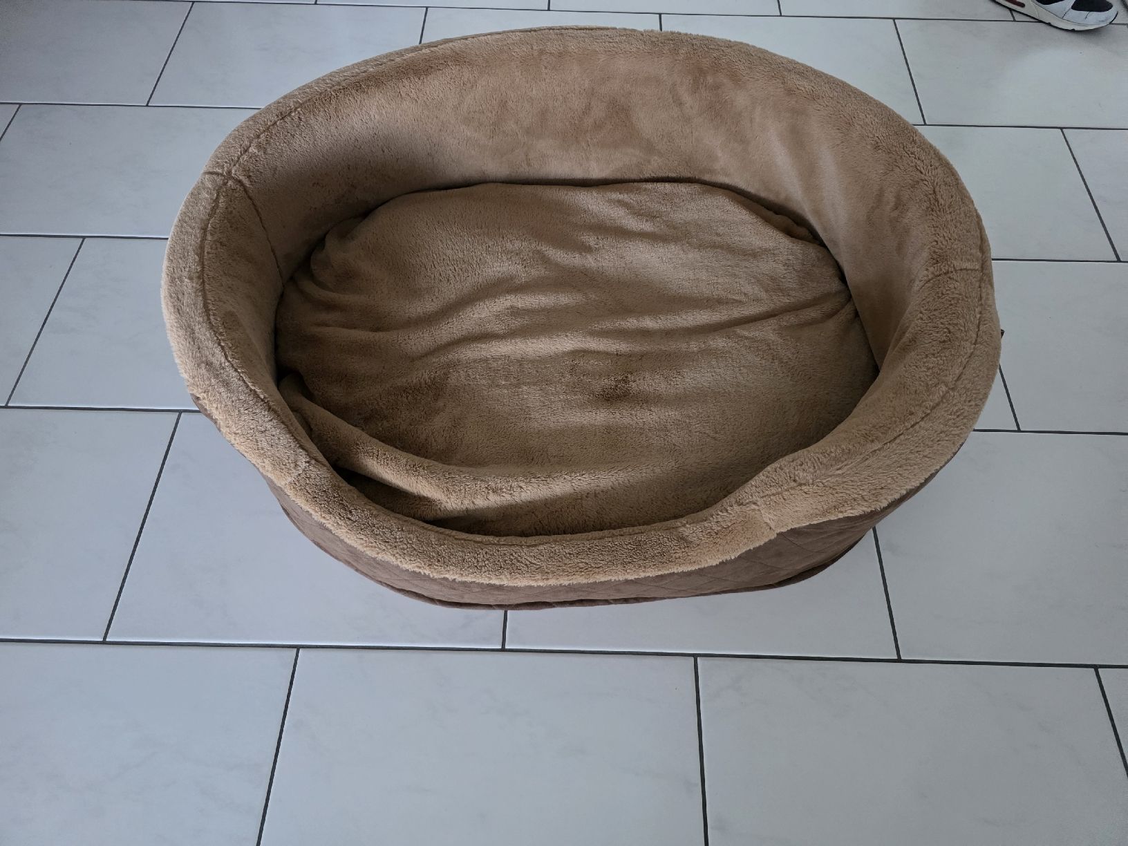 Cucce & Letti: Hundebett  – Usato da Twann venduto da kev_b6tb 2