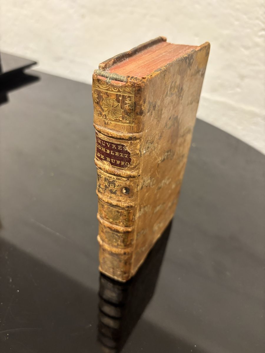 Libri: Histoire narurelle des oiseaux, Buffon, Band 4 – Usato da liebefeld venduto da RolandBern